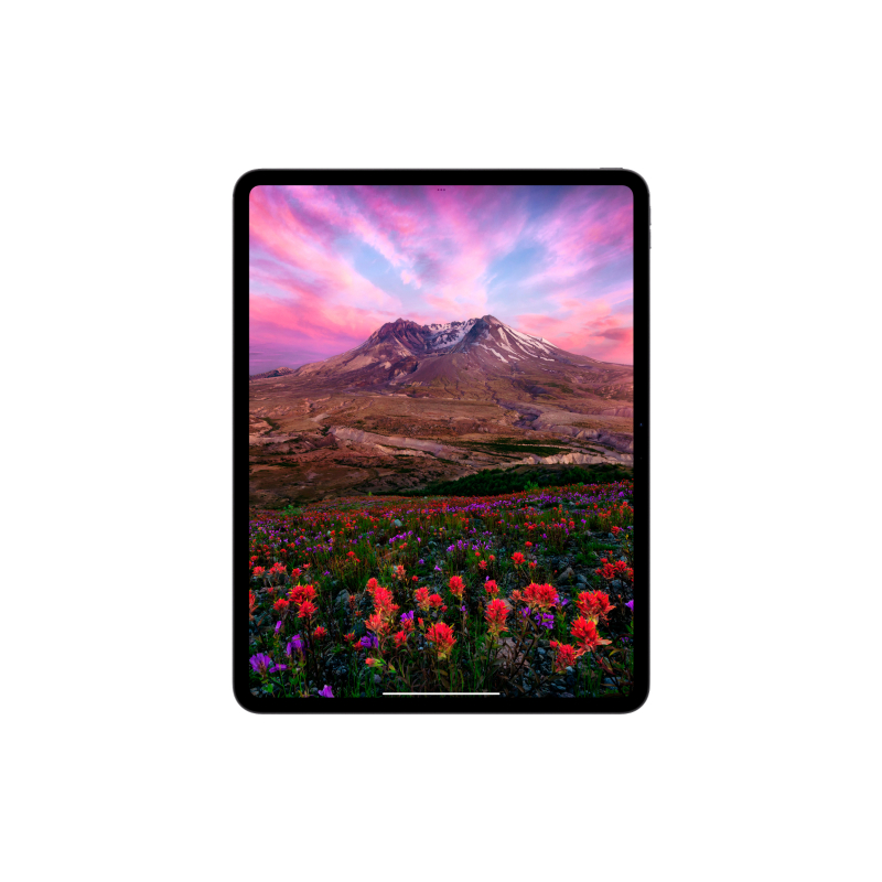 Apple iPad Pro M4, 13” дюймов Wi-Fi + Cellular 1 ТБ, Чёрный космос