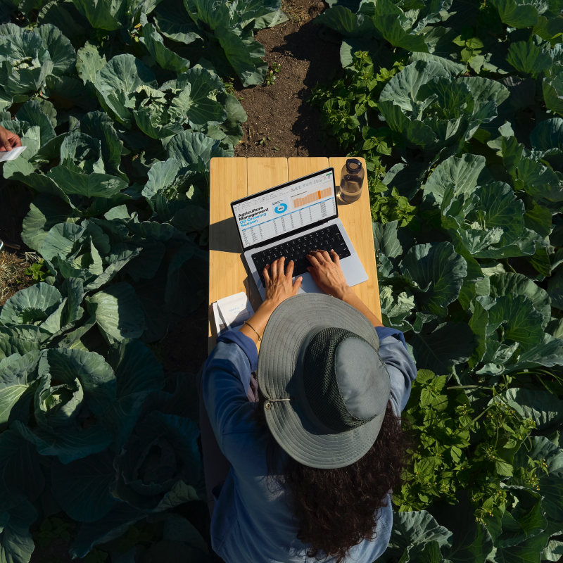 На фото изображено Apple MacBook Pro 16" (M5 Max, 18C / 32C, 2026) 36 ГБ, 1 ТБ SSD, серебристый